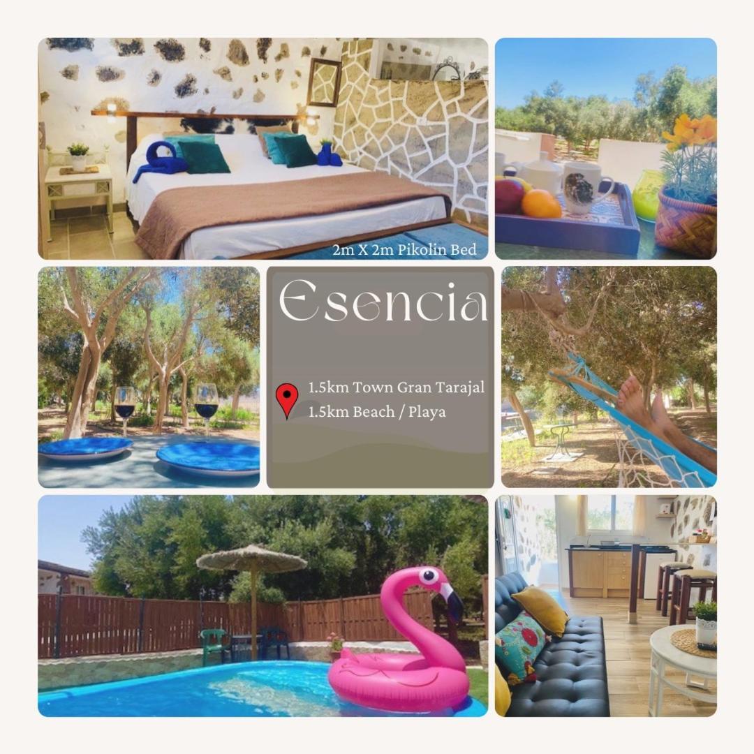 Bungalow Alma #Only Adults El Charco  Luaran gambar